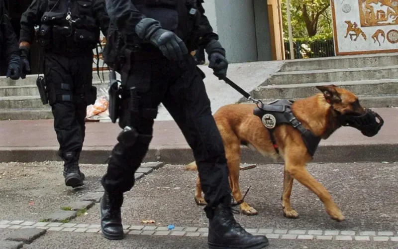 France : des détails sur le présumé terroriste marocain arrêté à Marseille