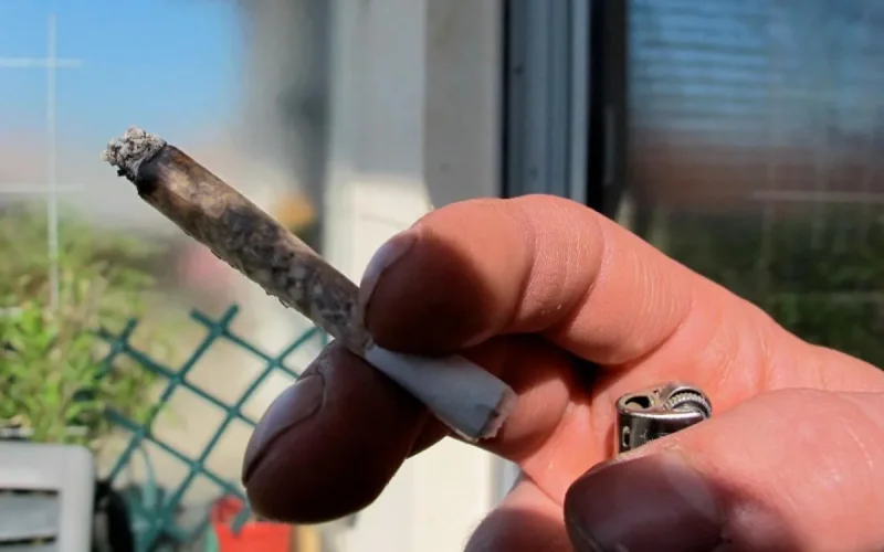 Pénurie de haschich marocain en Algérie, les prix s'envolent