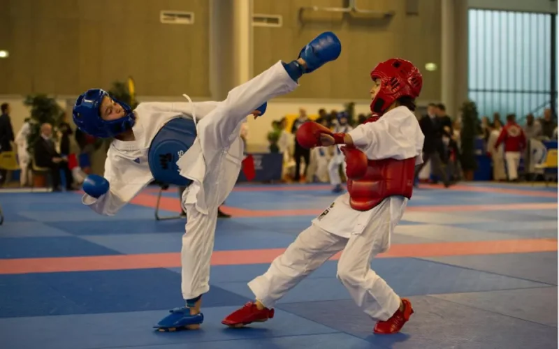 Karaté : une moisson de médailles pour le Maroc dans un tournoi en France