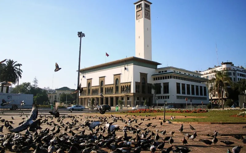 Casablanca fait la chasse aux pigeons