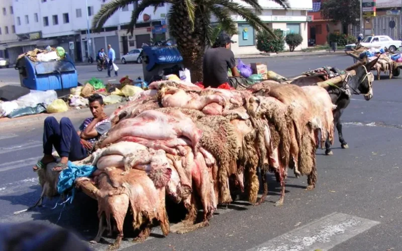 Pourquoi la mairie de Casablanca met fin au contrat de la société française Sita Blanca ?