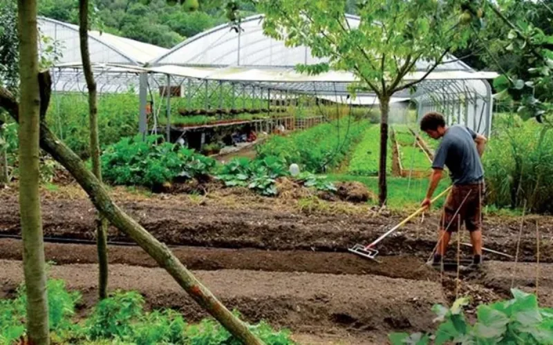 Un Marocain victime d'esclavage moderne aux Pays-Bas