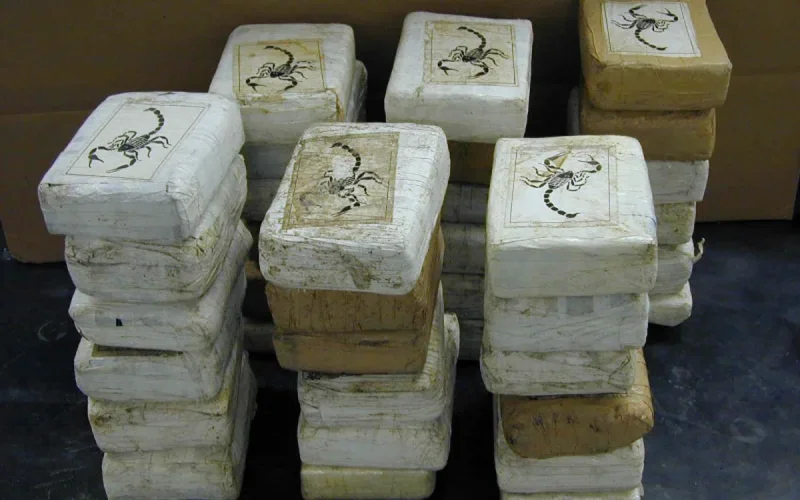Vidéo : saisie de 541 kilos de cocaïne à Casablanca