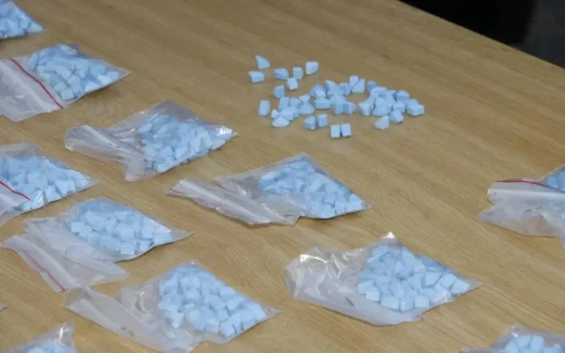 Près de 250.000 comprimés d'ecstasy saisis à Tanger-Med