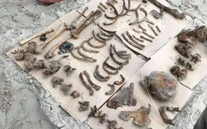 France : les soldats marocains de la Seconde guerre mondiale refont parler d'eux