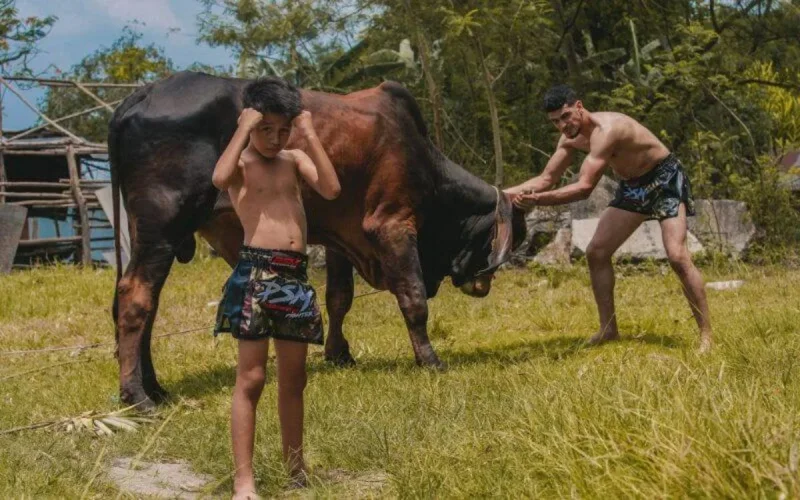 Boxe Thaï : Les frères Boughanem raflent tout à Bruxelles (vidéo)