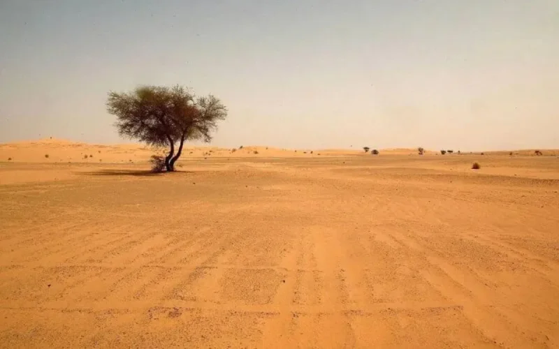 Tindouf : un sahraoui meurt de soif en tentant de rallier le Maroc