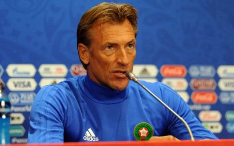 Voici le probable remplaçant d'Hervé Renard