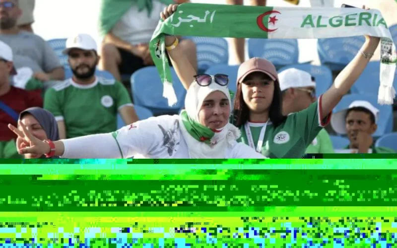 CAN 2019 : les Marocains soutiennent l'Algérie pour la finale