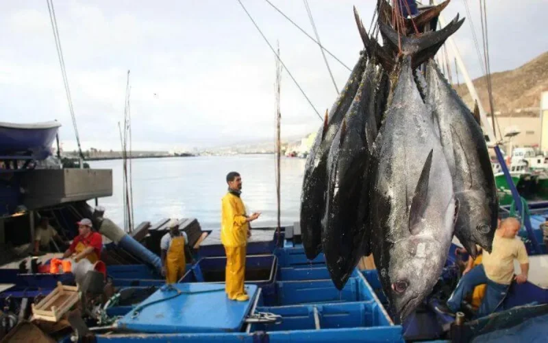 L'Espagne va repêcher dans les eaux marocaines