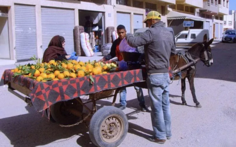 Agadir : un chômeur se coud la bouche et les yeux