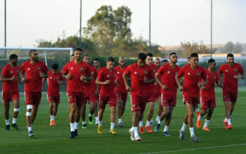 Football : liste surprise de Vahid Halilhodzic