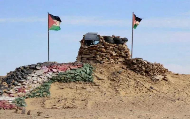 Un écrivain turc fustige les soutiens du Polisario