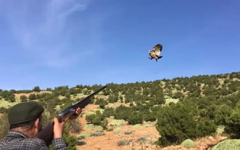 Les habitants de Sefrou ne veulent plus de chasseurs