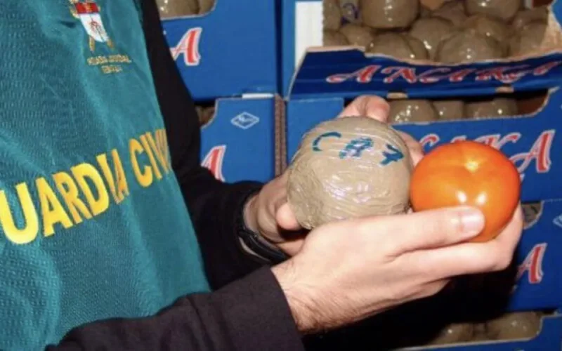 Espagne : de la drogue en forme de tomate