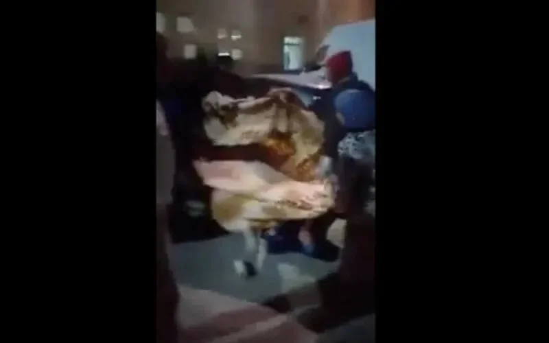 Maroc : refusée à l'hôpital, elle accouche dans la rue (vidéo)