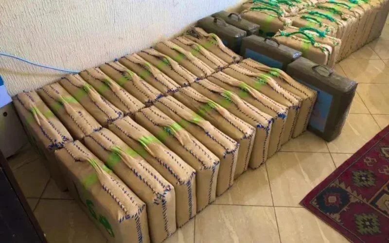 Saisie record de drogue à Assilah