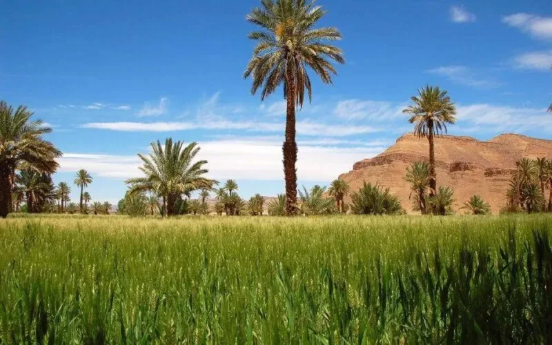 Le Maroc parmi les destinations de rêve en 2020