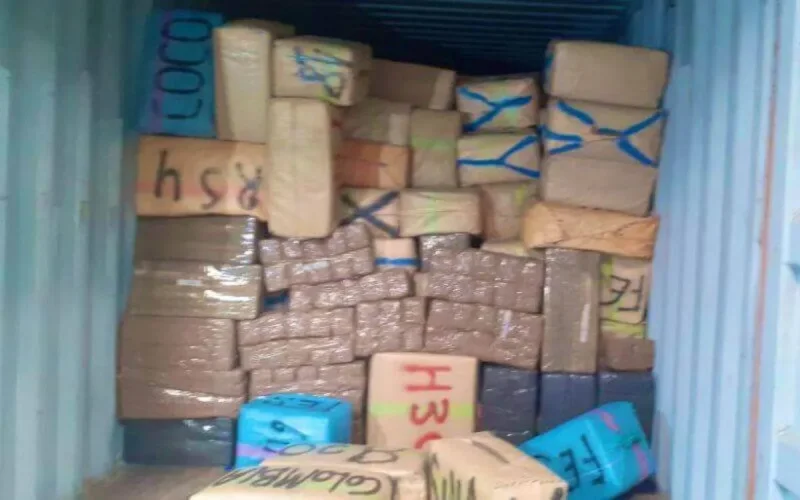 Saisie record de drogue dans le nord du Maroc