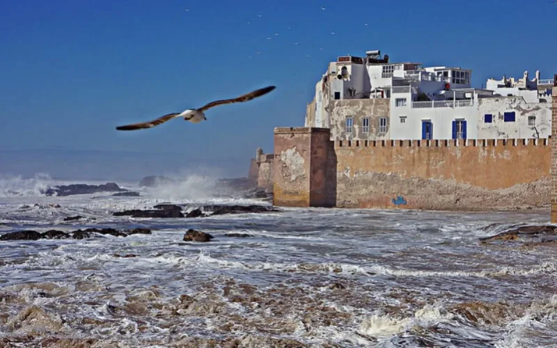 Essaouira : le nouvel "Eldorado" des Français
