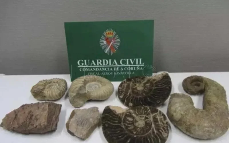 Importante saisie de fossiles marocains en Espagne