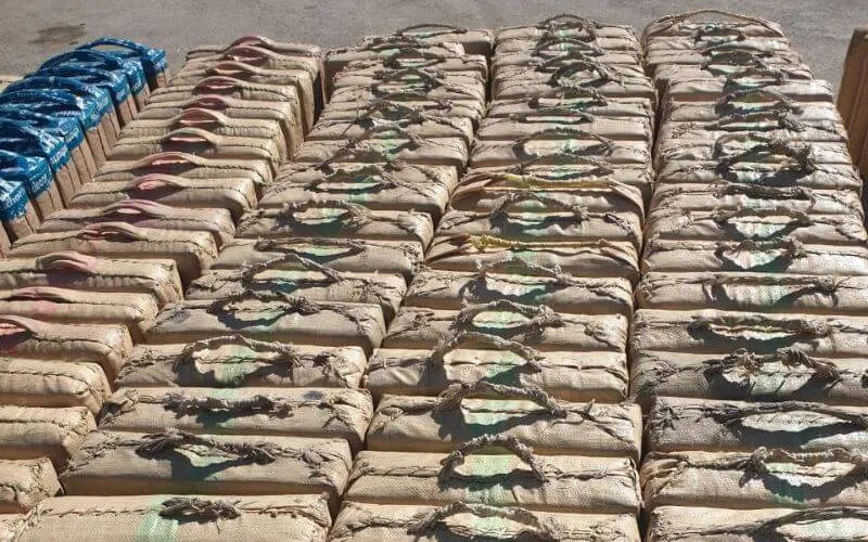 Intervention policière à Nador, 4,6 tonnes de drogue saisies, plusieurs arrestations