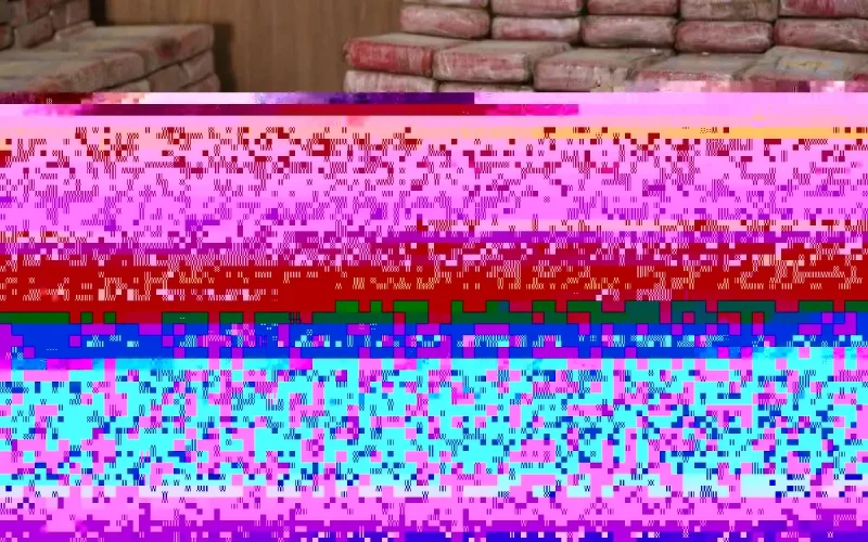 Plusieurs individus condamnés à Kenitra pour trafic de cocaïne