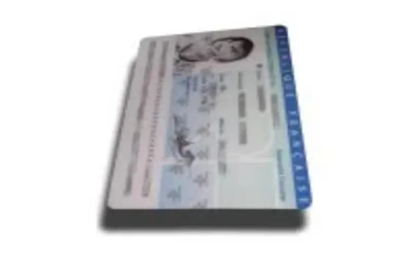 France : Hausse de 13% des naturalisations en 2003