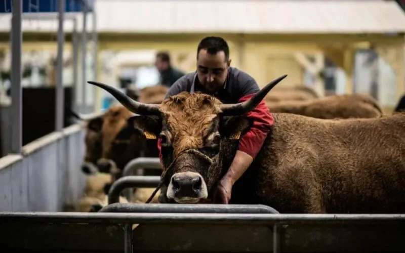 Le Maroc au Salon de l'Agriculture de Paris