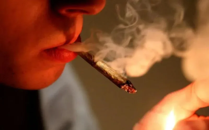 Pourquoi le prix du cannabis marocain est plus cher en Europe ?