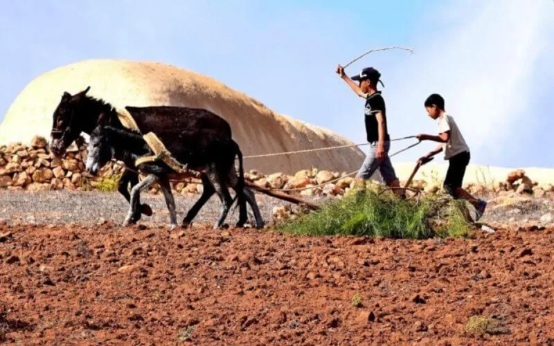 Lutte contre le Coronavirus : les zones rurales sensibilisées