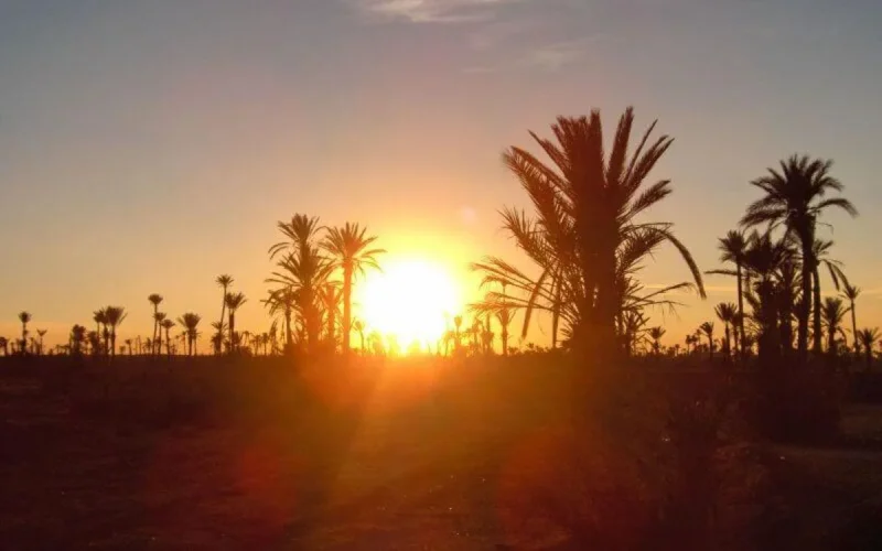 Météo : jusqu'à 37 degrés prévus ce lundi au Maroc