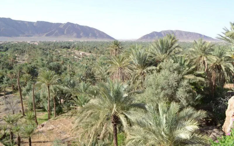 Maroc : voici la météo et les températures de ce samedi