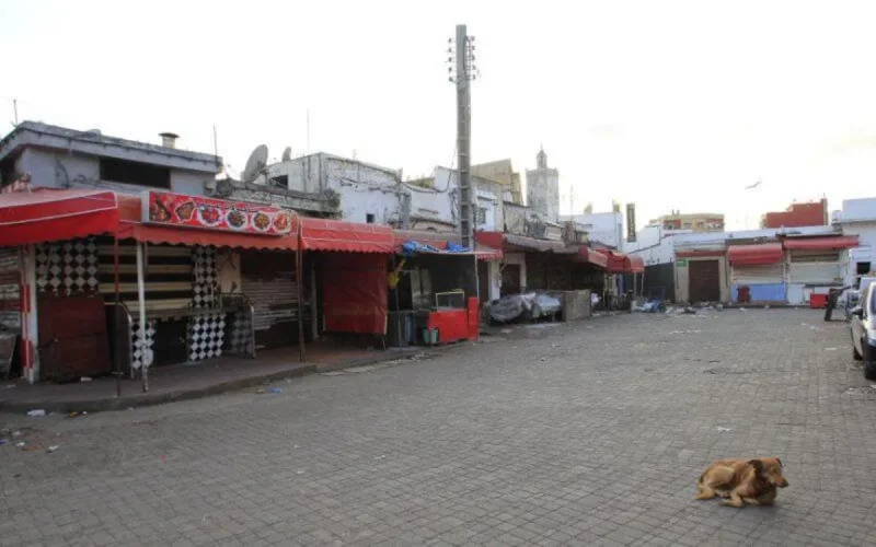 Maroc : plus de 50 % des entreprises à l'arrêt