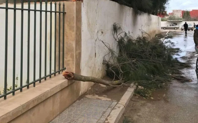 Khemisset : 5 millions de dirhams partent en fumée