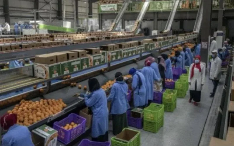 La Suisse, partenaire économique de choix pour le Maroc