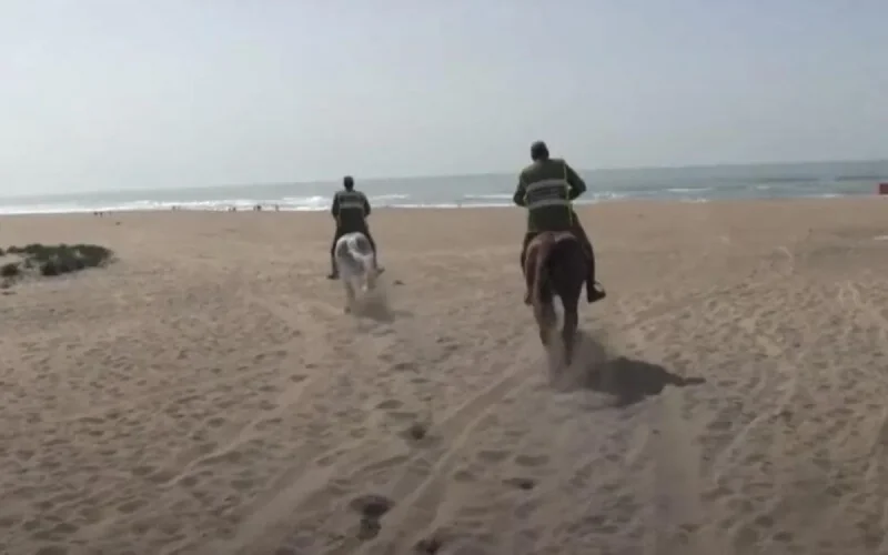 Maroc : chasse aux baigneurs (vidéo)