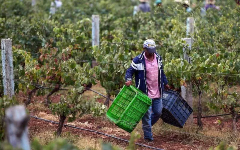 Italie : la chance sourit aux harragas marocains