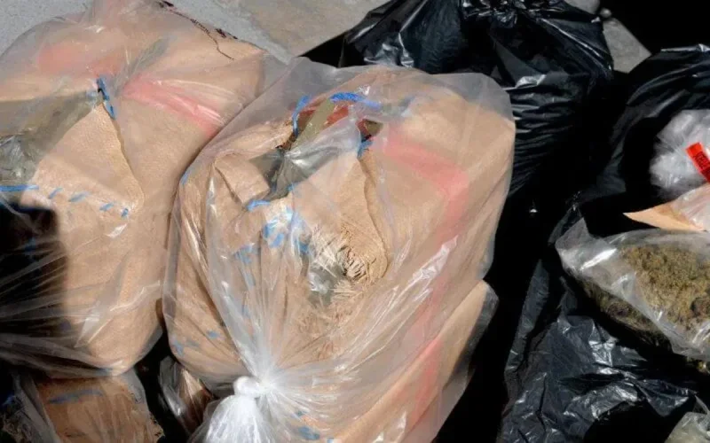 De la drogue en provenance du Maroc saisie à Poitiers