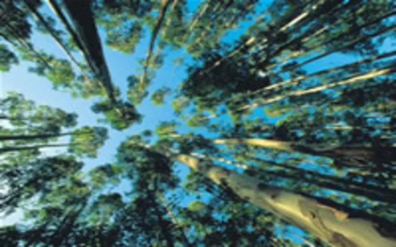 L'UE finance un projet environnemental marocain