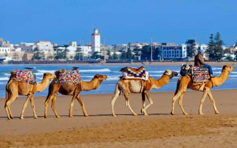 Maroc : que dit le protocole sanitaire destiné aux professionnels du secteur touristique ?