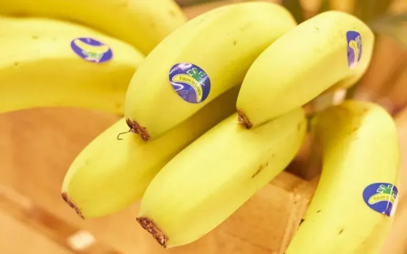 Les Marocains, friands de la banane des îles Canaries