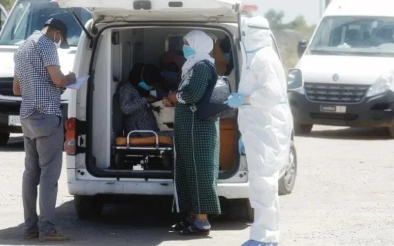 Clusters de Lalla Mimouna : les explications de l'Interproberries Maroc