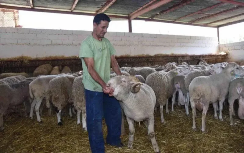 Aïd Al-Adha : les musulmans de Sebta en colère