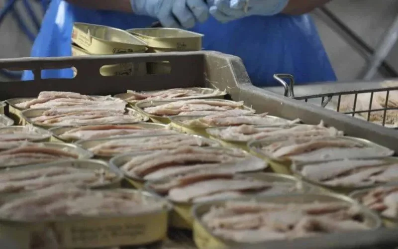 Coronavirus : un foyer de contamination détecté à Safi