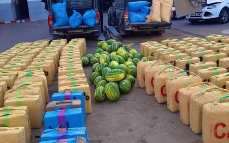 Maroc : le chargement de pastèques cachait 5 tonnes de drogue