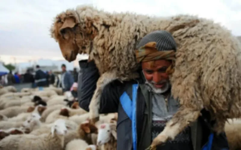 Conseils de nutrition pour l'Aid Al-Adha 