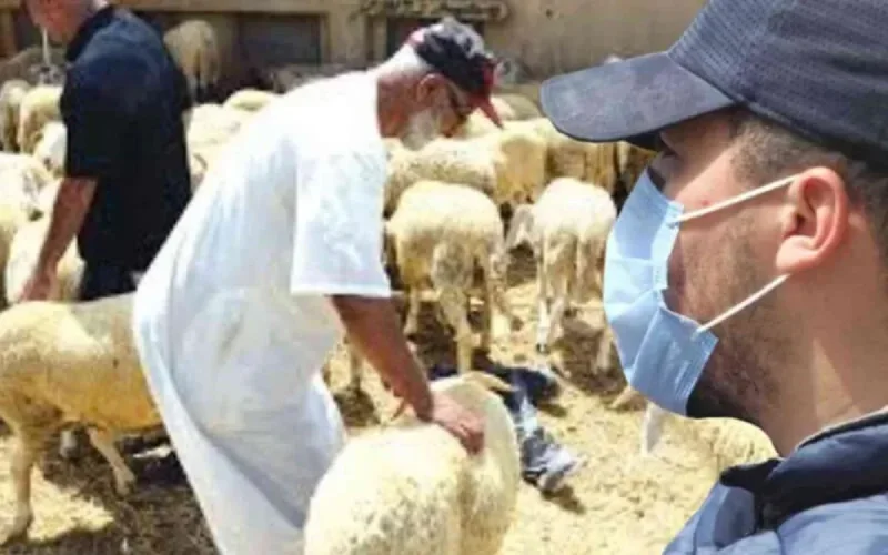 Covid-19 / Aïd Al-Adha : les autorités demandent plus de « maturité » et de « responsabilité »