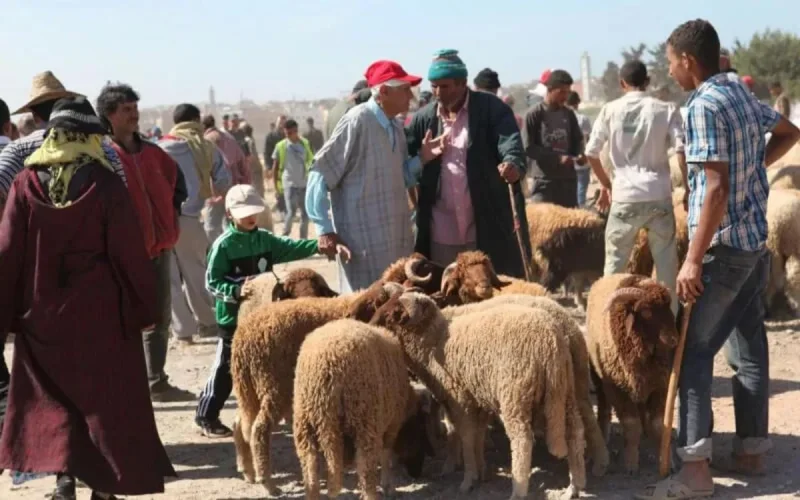 Coronavirus au Maroc : les autorités sévissent et les Marocains patissent