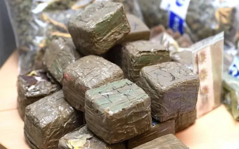 Les 11 tonnes de drogue saisies à Bruxelles provenaient du Maroc